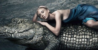 Crocodile