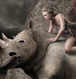 Rhinoceros