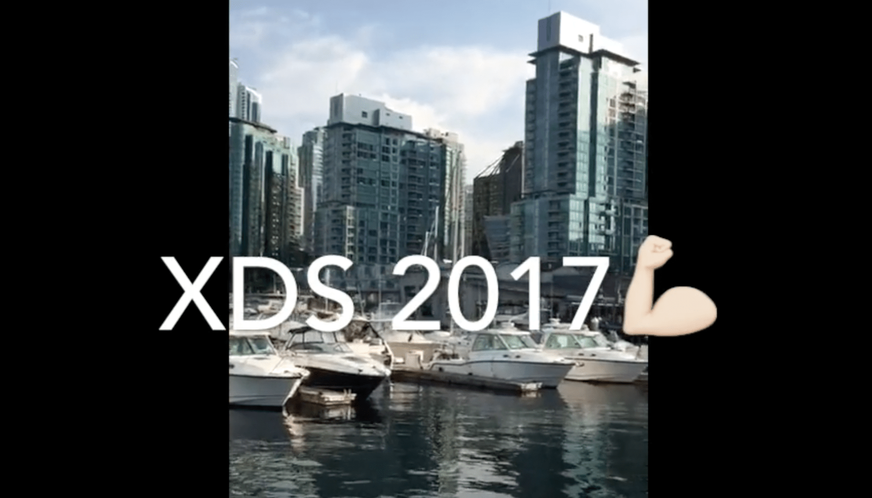 XDS 2017